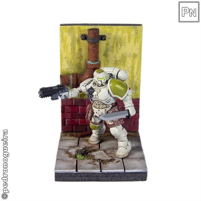 _MG_3350 650px.jpg _MG_3350 650px.jpg