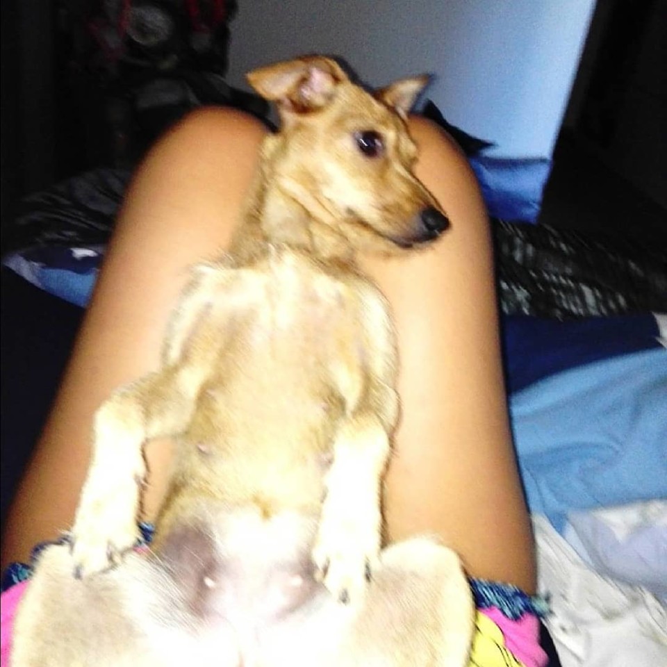 43221104_10155972180281538_8174925061967314944_o.j