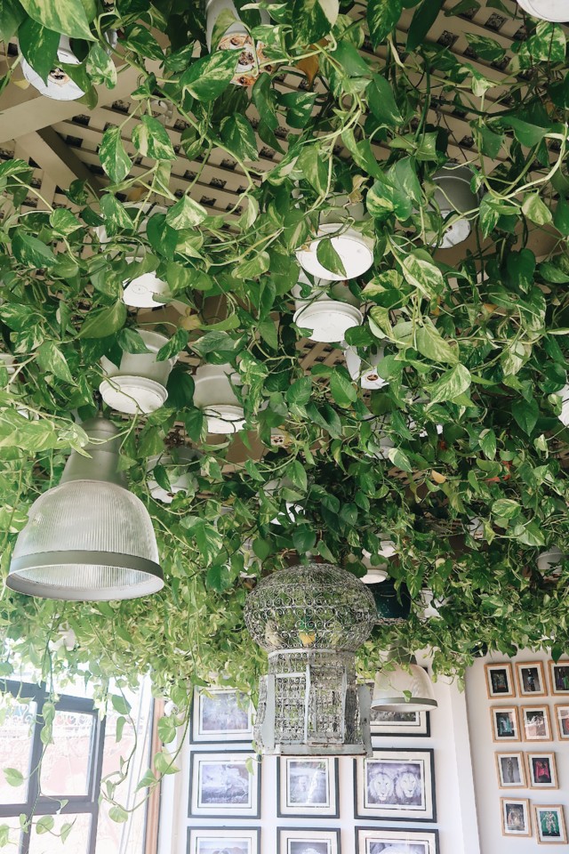 22EFD856-9829-4693-935B-F73697D84A05.jpg 22EFD856-9829-4693-935B-F73697D84A05.jpg