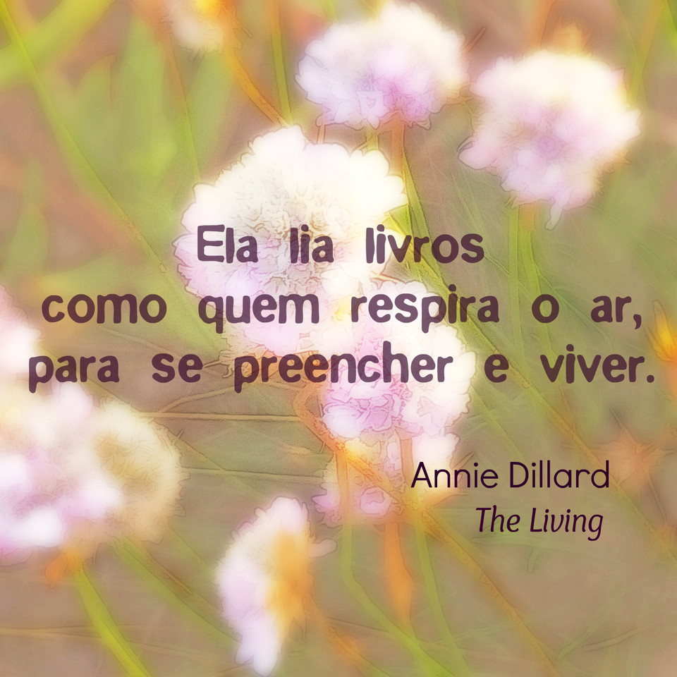 Entre aspas #10 Annie Dillard.jpg