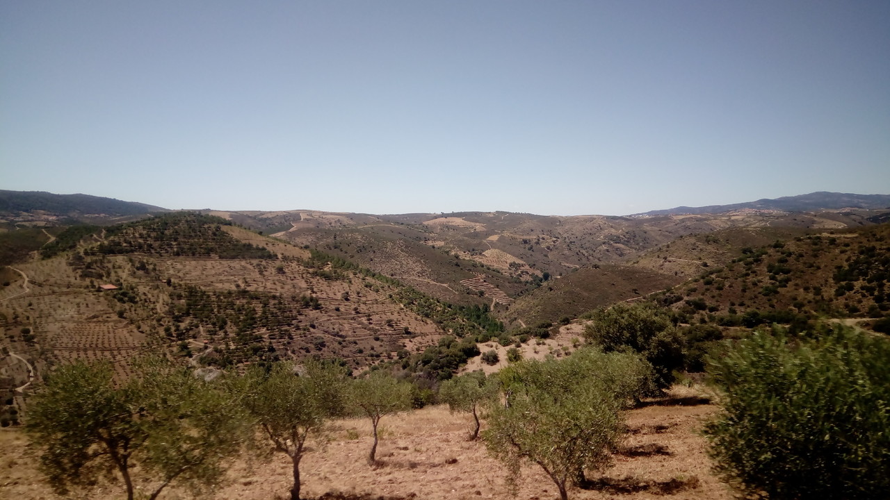 IMG_20170701_145755.jpg IMG_20170701_145755.jpg