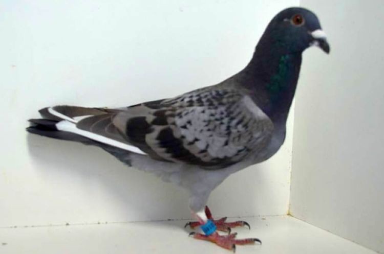 3016978-16.jpg 3016978-16.jpg