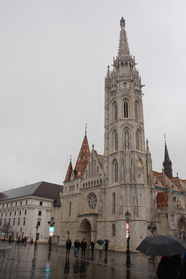 IMG_2288.JPG IMG_2288.JPG