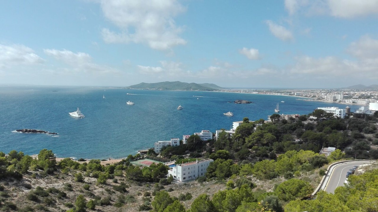 IMG_0239.JPG IMG_0239.JPG