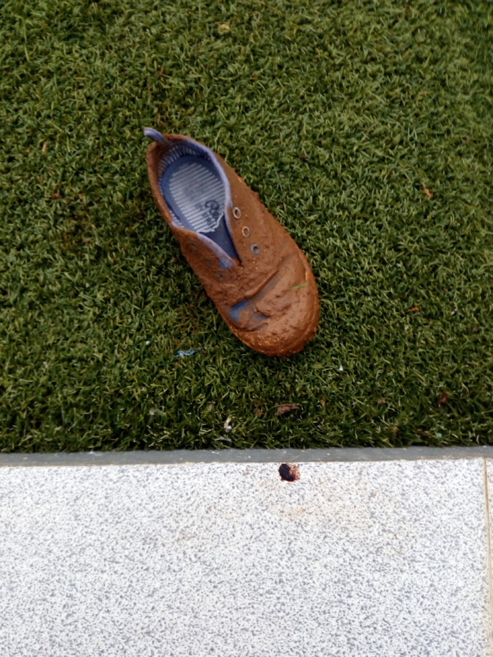 IMG_20171126_170017.jpg IMG_20171126_170017.jpg