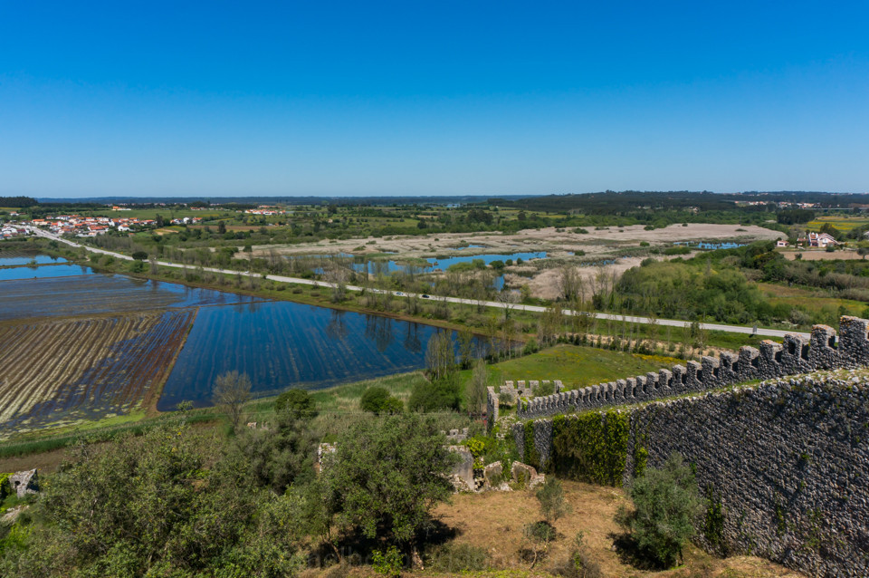 19566637_aLjmV.jpeg 19566637_aLjmV.jpeg