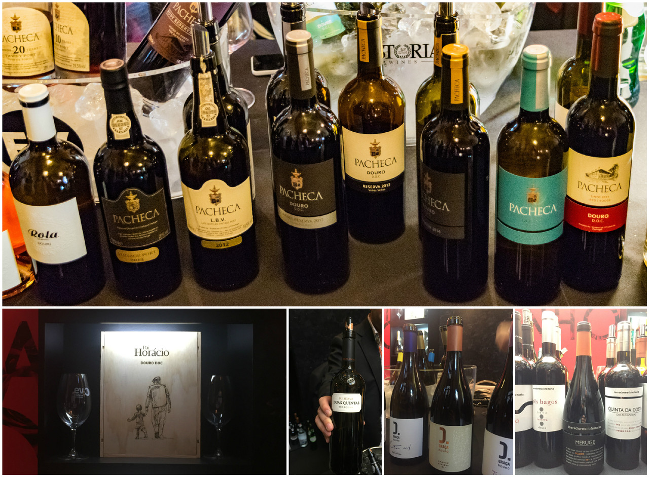 Grandes Tintos e Quinta da Pacheca