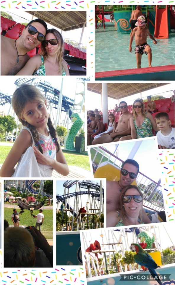 Collage 2018-09-07 14_23_51.jpg Collage 2018-09-07 14_23_51.jpg