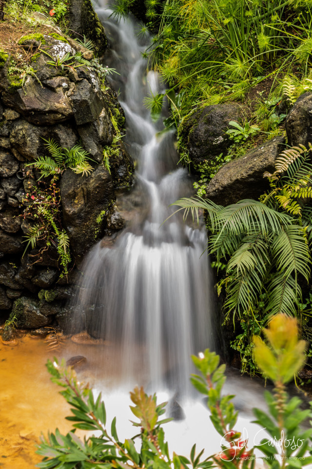 05_-_IMAGEM.jpg 05_-_IMAGEM.jpg