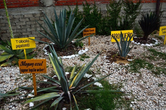 DSC_04.jpg DSC_04.jpg