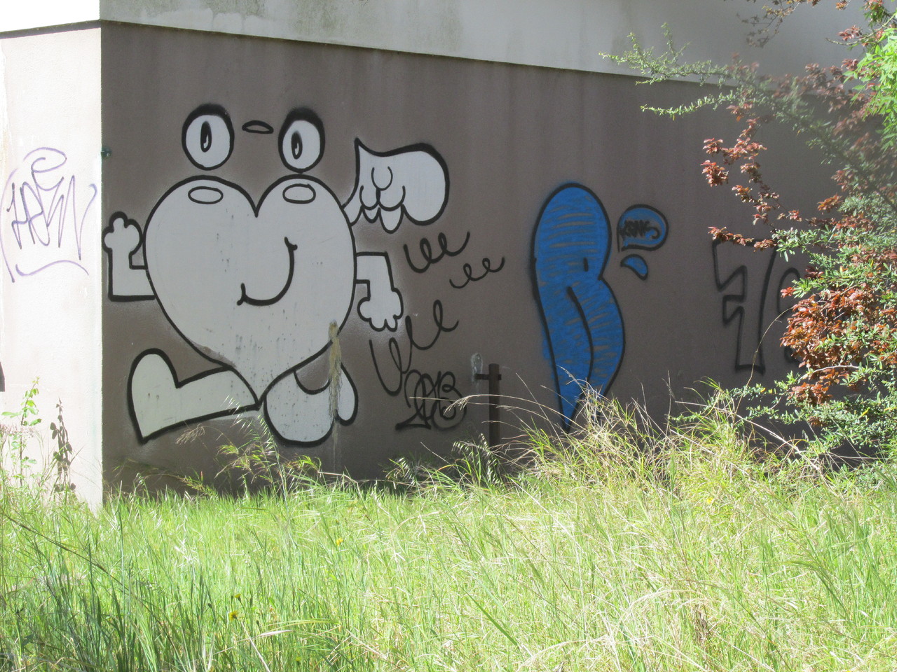 IMG_6337.JPG IMG_6337.JPG
