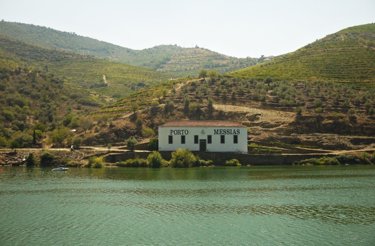 Linha do Douro10.JPG Linha do Douro10.JPG