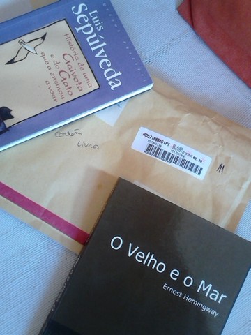 Livros Lizzie Bennet.jpg