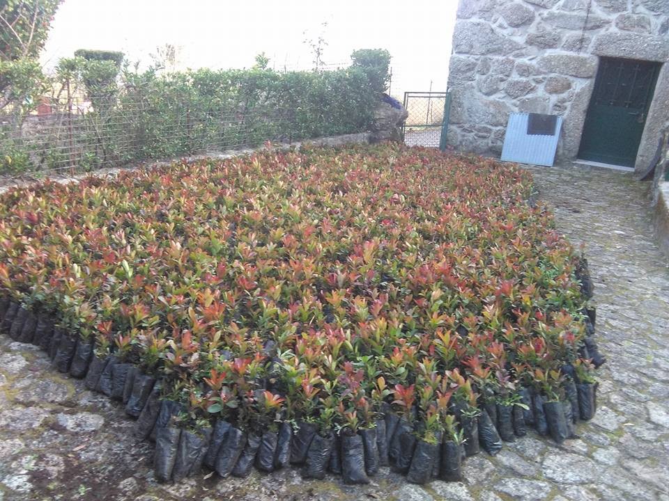 16831904_1320721761307908_3164477177062135978_n.jp