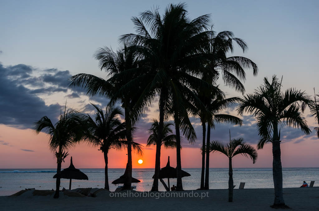 DSC01208.jpg DSC01208.jpg