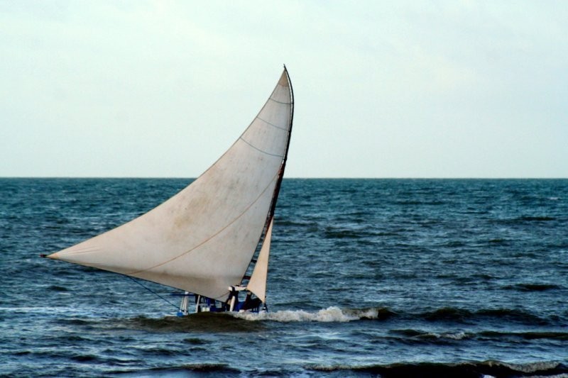 JANGADA DE SONHOS.jpg