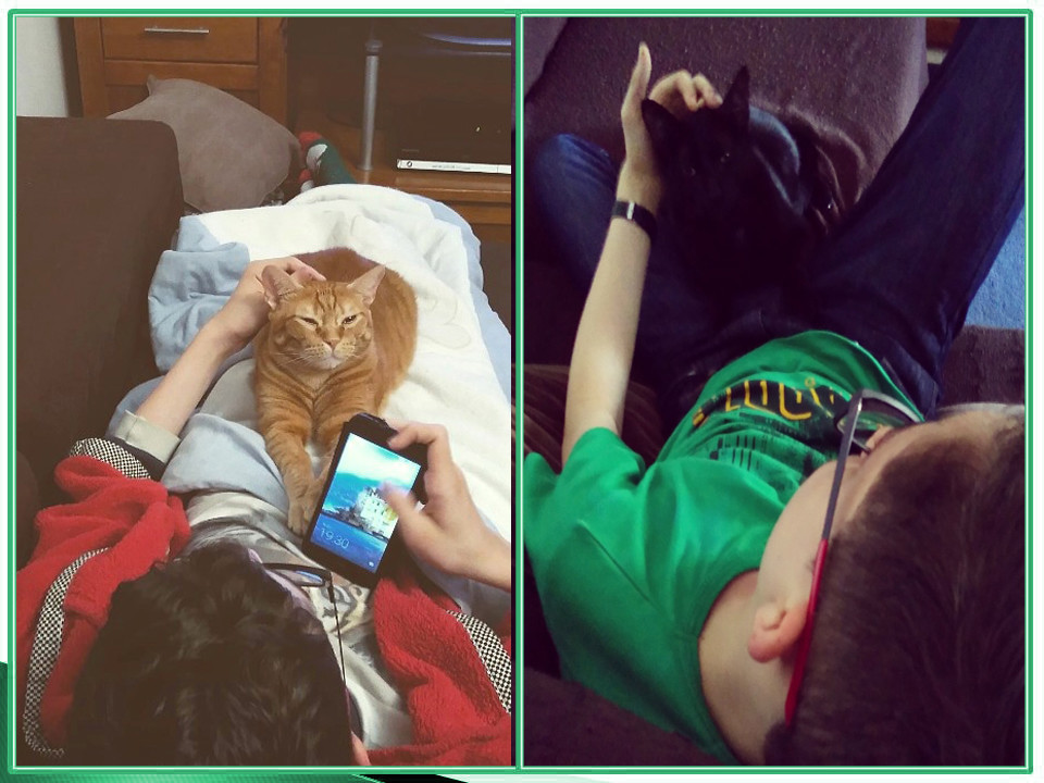 momentosdonojunior.jpg momentosdonojunior.jpg