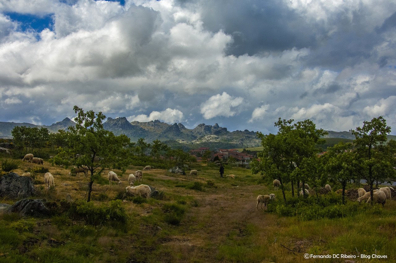 1600-barroso XXI (527)-1.jpg