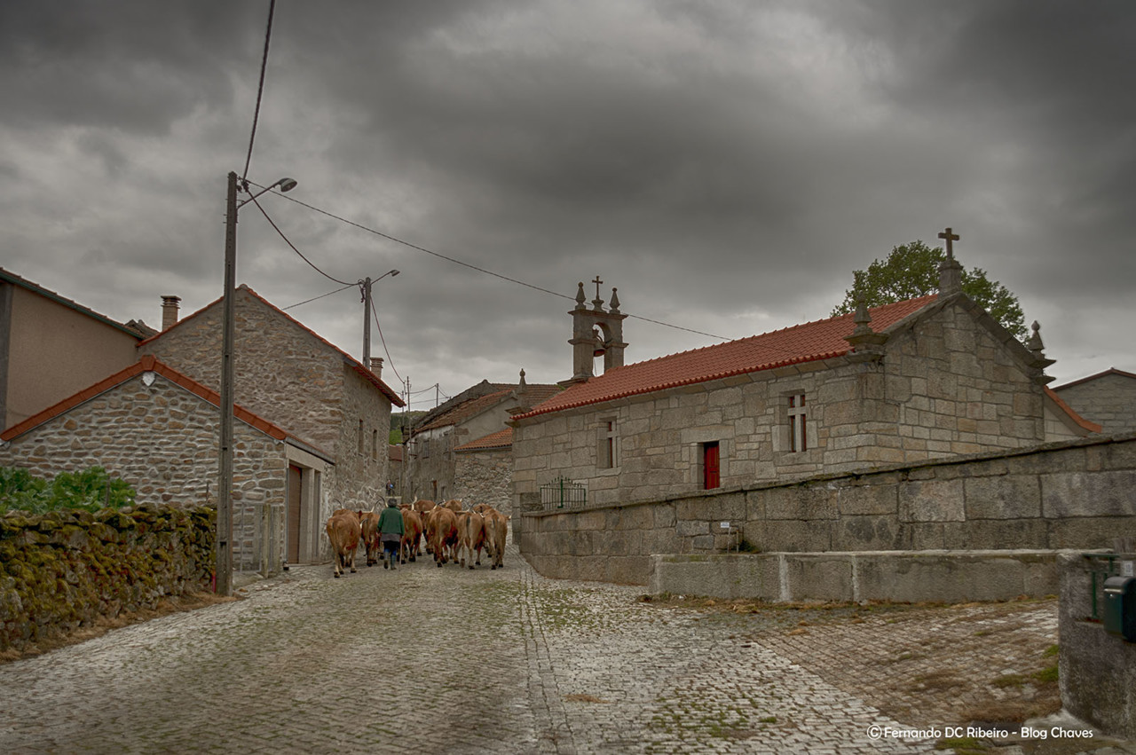 1600-viveiros (21).jpg 1600-viveiros (21).jpg