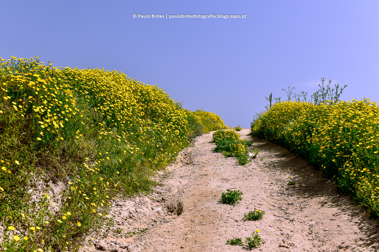 DSC_11408-1-2.jpg DSC_11408-1-2.jpg