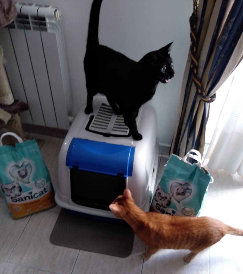 SquarePic_20201110_16104532.jpg SquarePic_20201110_16104532.jpg