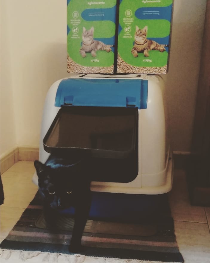 IMG_20191206_164030_724.jpg IMG_20191206_164030_724.jpg