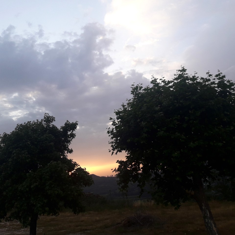 IMG_20190712_215307_145.jpg IMG_20190712_215307_145.jpg