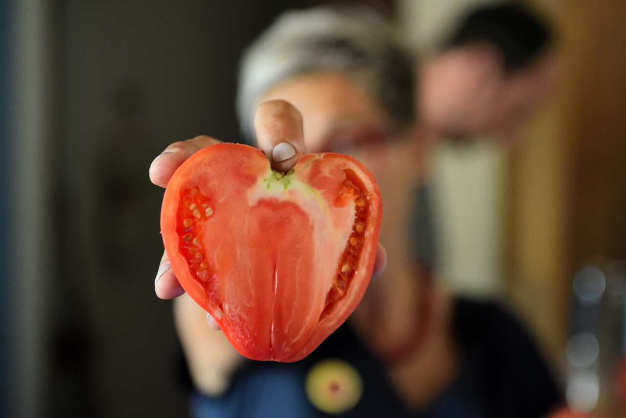 ©PauloPereira -Tomate Coração de Boi.JPG