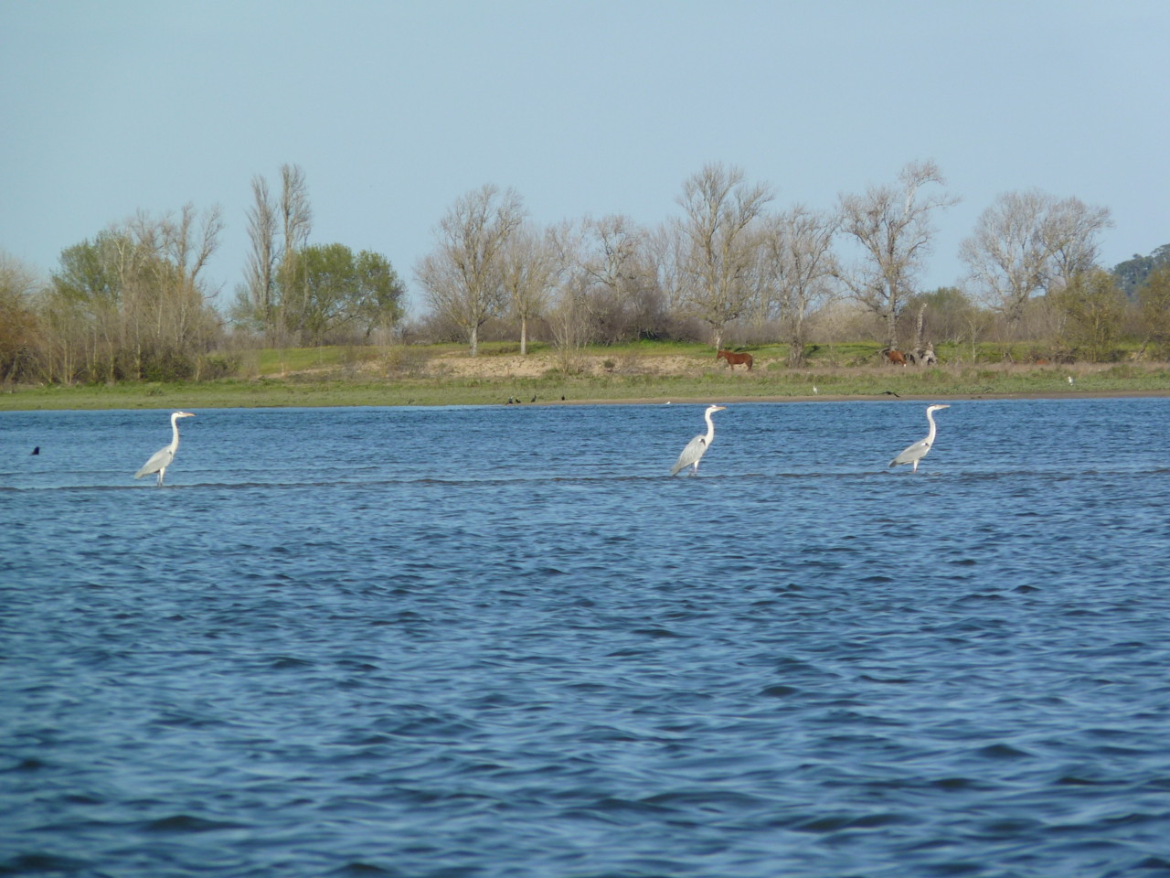 Passeio de barco (8).JPG