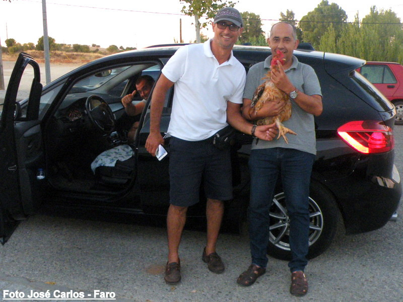 Leilão Serpa 2017 011.JPG