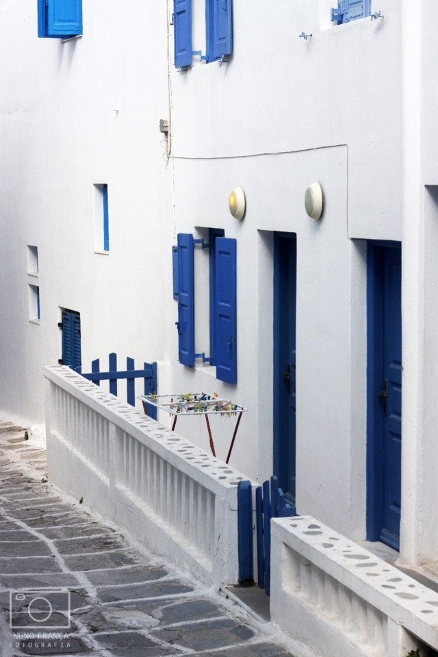 IMG_5820_net.jpg IMG_5820_net.jpg