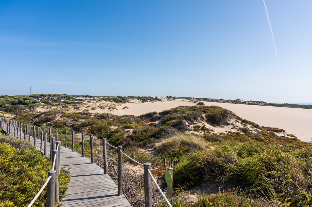 DSC00670.jpg DSC00670.jpg