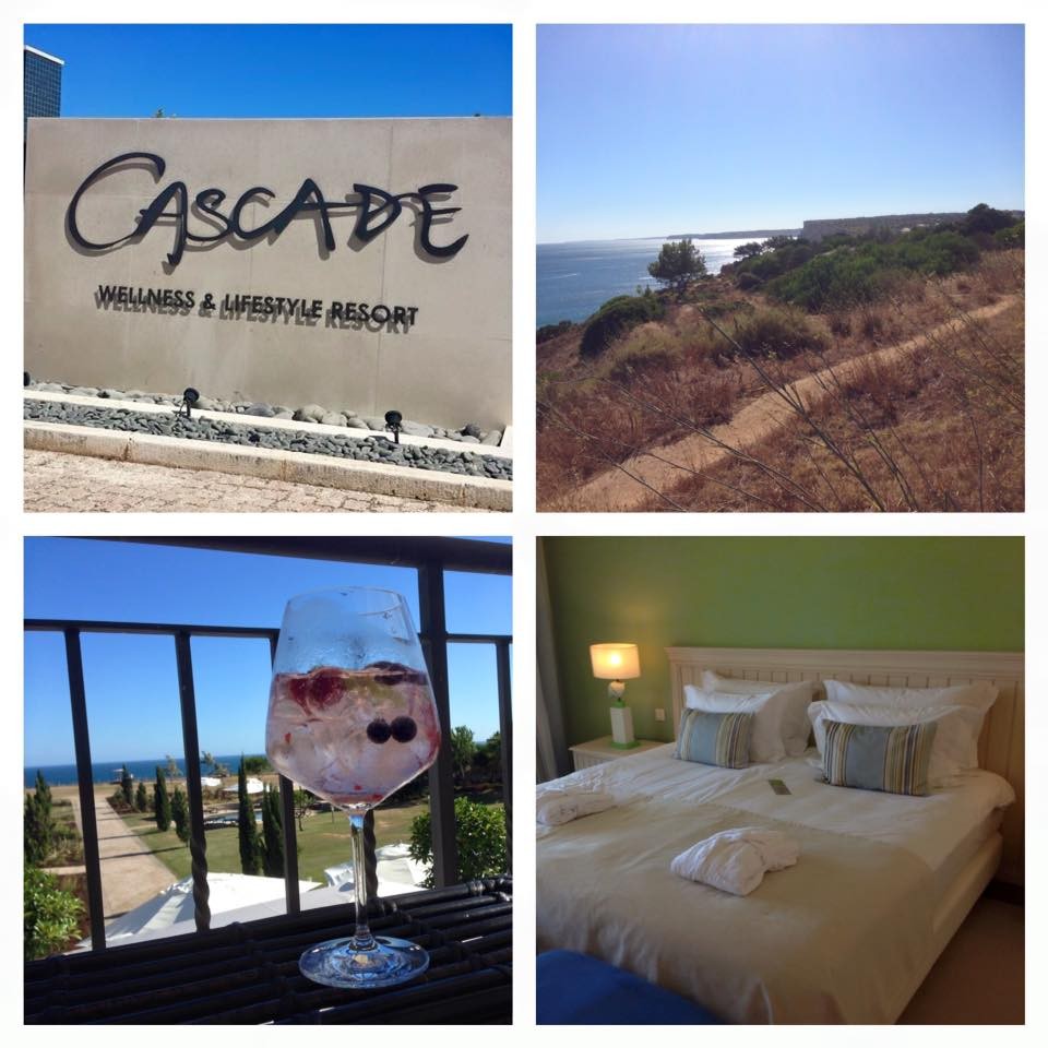 10982310_10153137264739958_6048131487371028235_n.j