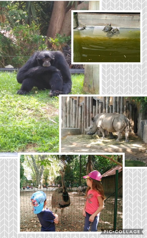 Collage 2017-08-31 23_13_52.jpg