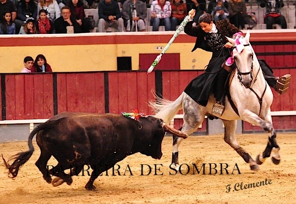 barreira de sombra05-05-08-DSC_9690.JPG barreira de sombra05-05-08-DSC_9690.JPG