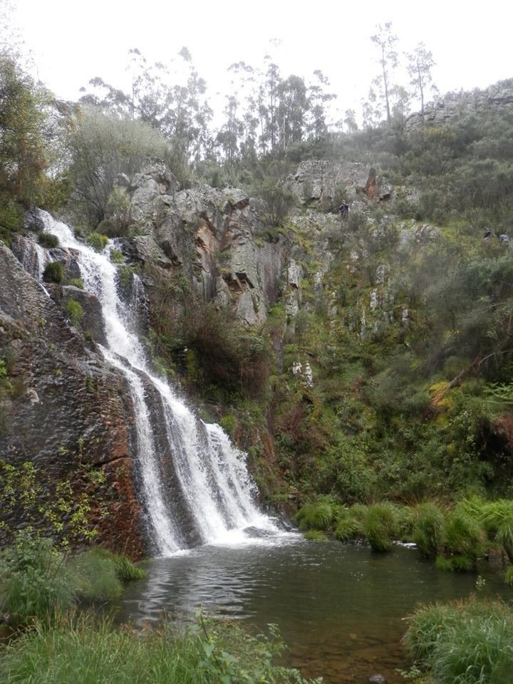 12717986_1147737808571142_6703062996139432049_n.jp 12717986_1147737808571142_6703062996139432049_n.jp