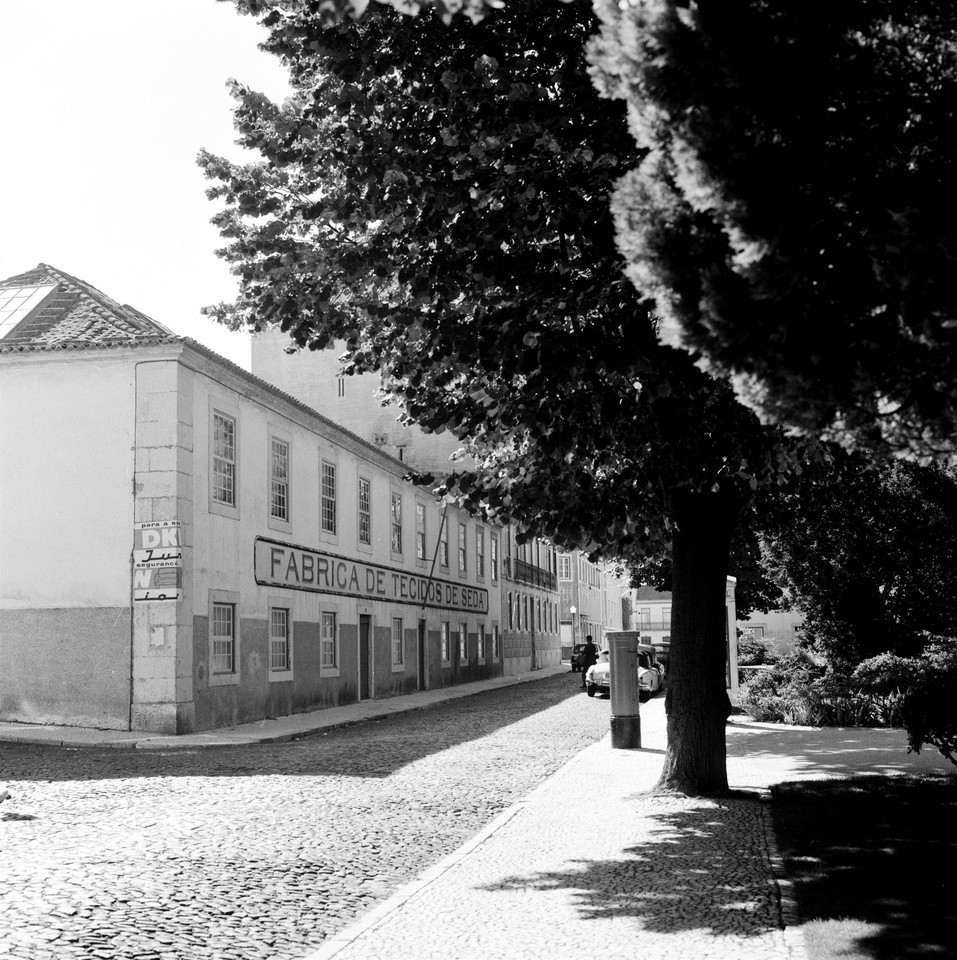 Jardim das Amoreiras e a fábrica de tecidos de se