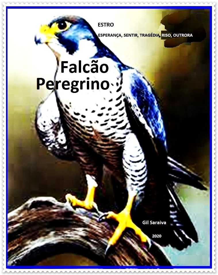 Falcão Peregrino.jpg
