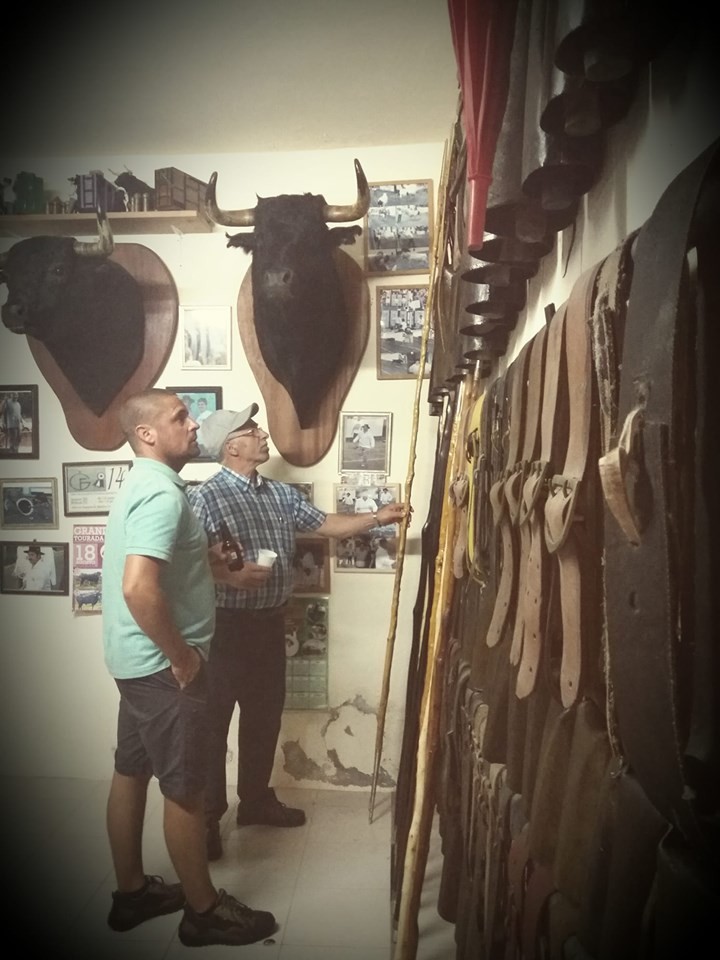 toiros posto santo 2.jpg toiros posto santo 2.jpg