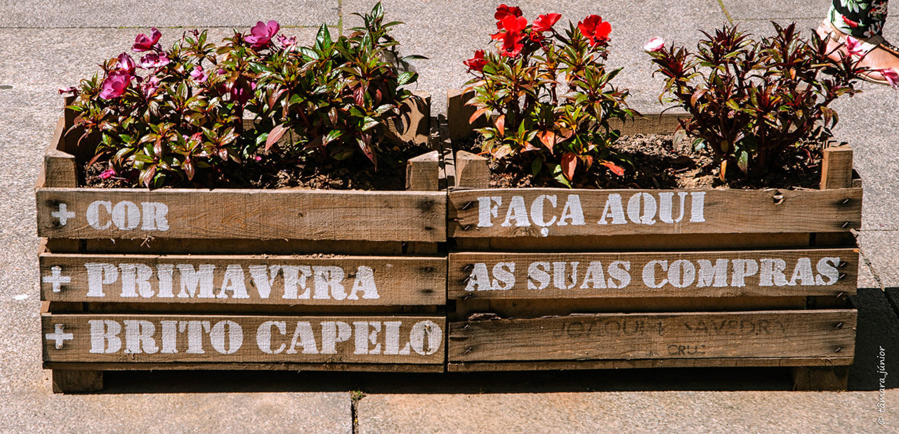 2017.- Matosinhos (julho) (50).jpg