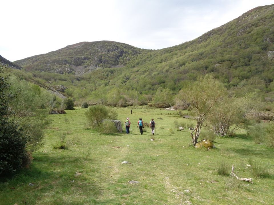 18664432_10211398975262780_7611804256072437934_n.j