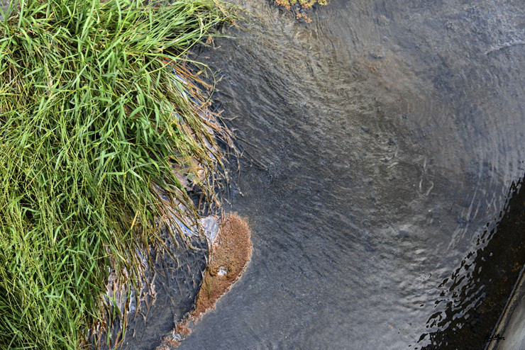 _DSC9669.JPG
