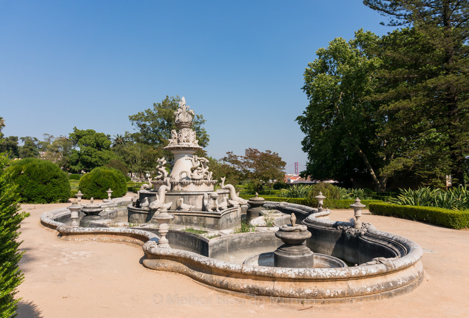 DSC00063.jpg DSC00063.jpg