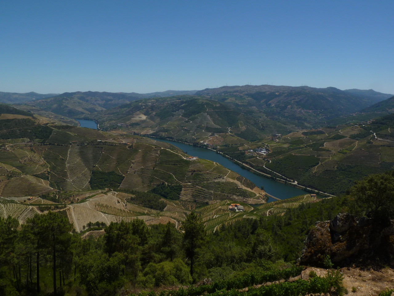 Douro visto de S. Leonardo da Galafura.JPG