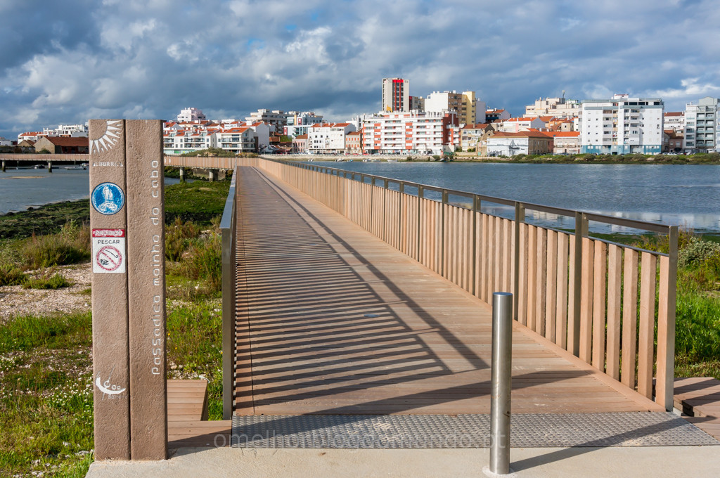 _DSC5551.jpg _DSC5551.jpg