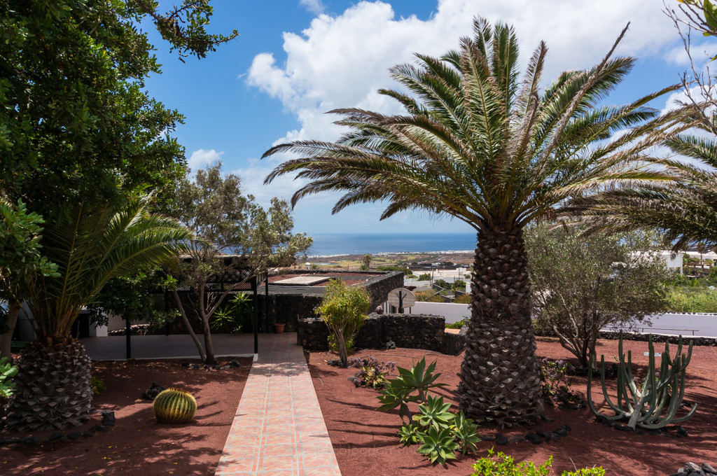 _DSC7846.jpg _DSC7846.jpg