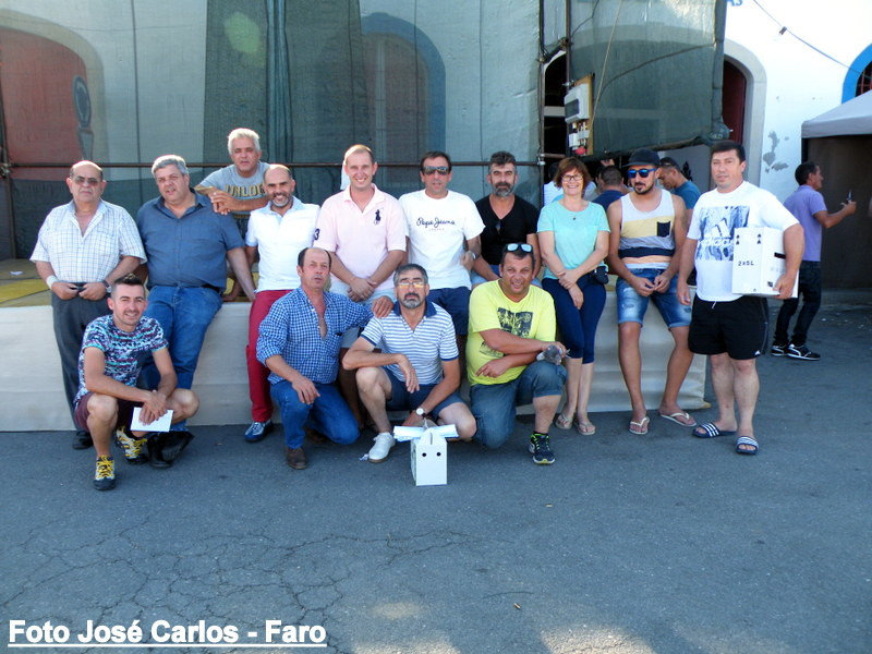 Leilão Ervidel 2017 064.JPG