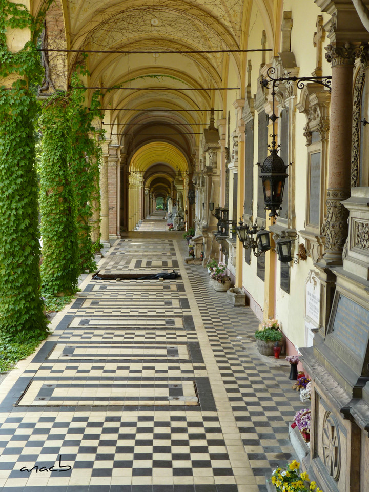 P1380009 cópia assin.jpg