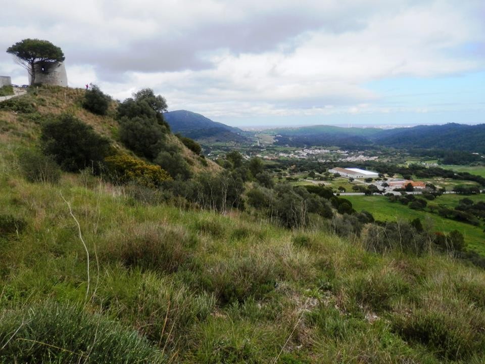 12923304_1154042087940714_6110165456015029733_n.jp 12923304_1154042087940714_6110165456015029733_n.jp