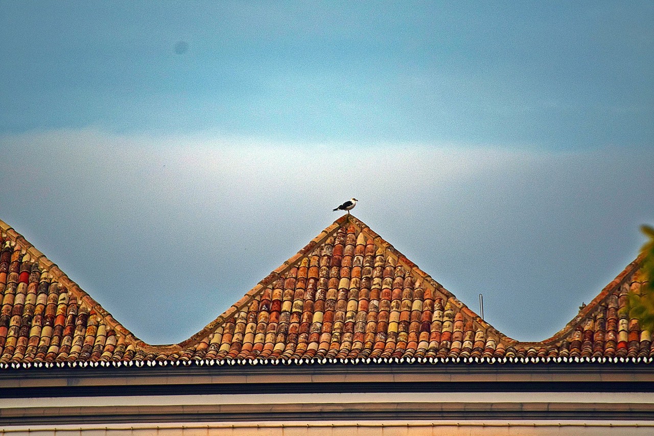 12370877_498903996948665_6026186595129966923_o.jpg 12370877_498903996948665_6026186595129966923_o.jpg